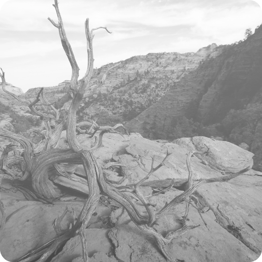 What Remains When Trends Fade