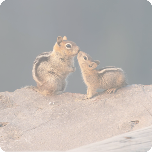 Building a Brand in Between the Moments